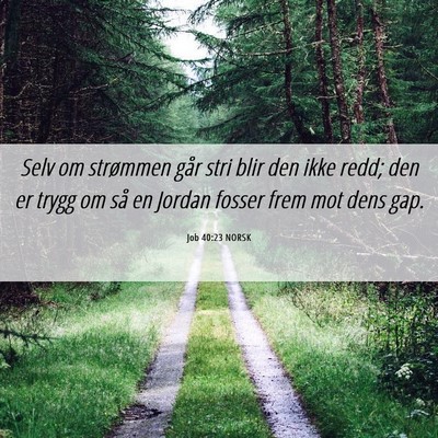 Picture 06 - Job 40:23 NORSK - Selv om strømmen går stri blir den ikke redd; - Bible Verse Picture