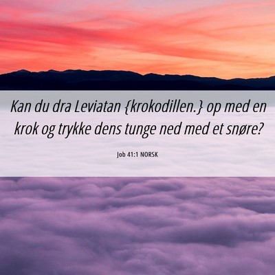 Picture 06 - Job 41:1 NORSK - Kan du dra Leviatan {krokodillen.} op med en krok - Bible Verse Picture