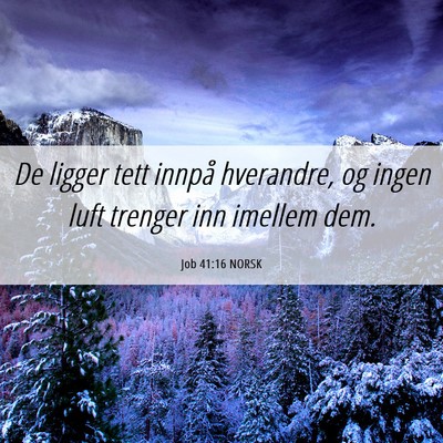 Picture 06 - Job 41:16 NORSK - De ligger tett innpå hverandre, og ingen luft - Bible Verse Picture