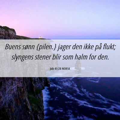 Picture 06 - Job 41:28 NORSK - Buens sønn {pilen.} jager den ikke på flukt; - Bible Verse Picture