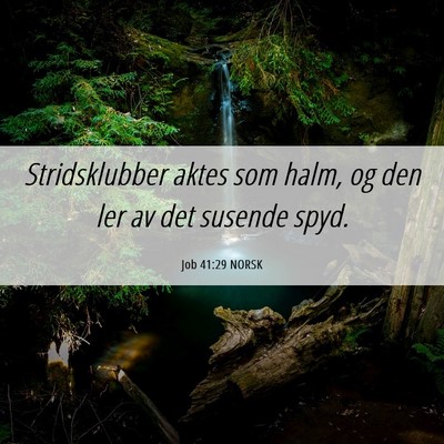 Picture 06 - Job 41:29 NORSK - Stridsklubber aktes som halm, og den ler av det - Bible Verse Picture