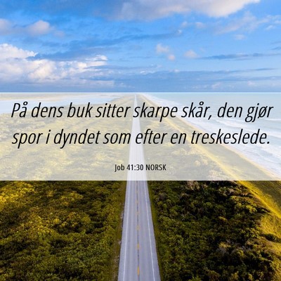 Picture 06 - Job 41:30 NORSK - På dens buk sitter skarpe skår, den gjør spor - Bible Verse Picture