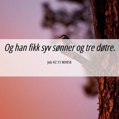 Picture 06 - Job 42:13 NORSK - Og han fikk syv sønner og tre - Bible Verse Picture