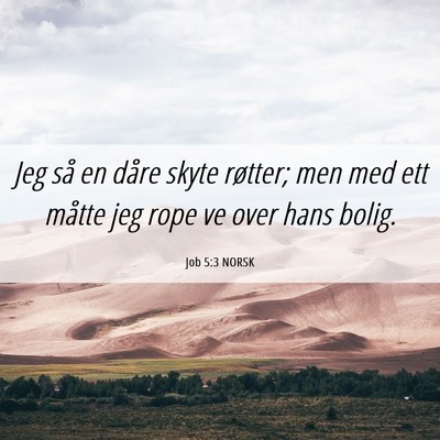 Picture 06 - Job 5:3 NORSK - Jeg så en dåre skyte røtter; men med ett - Bible Verse Picture
