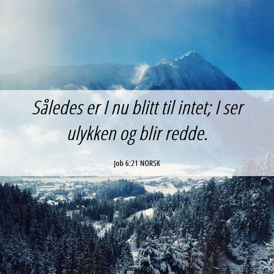 Picture 06 - Job 6:21 NORSK - Således er I nu blitt til intet; I ser ulykken - Bible Verse Picture