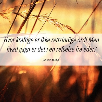 Picture 06 - Job 6:25 NORSK - Hvor kraftige er ikke rettsindige ord! Men hvad - Bible Verse Picture