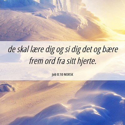 Picture 06 - Job 8:10 NORSK - de skal lære dig og si dig det og bære frem ord - Bible Verse Picture