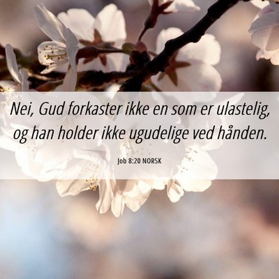 Picture 06 - Job 8:20 NORSK - Nei, Gud forkaster ikke en som er ulastelig, og - Bible Verse Picture