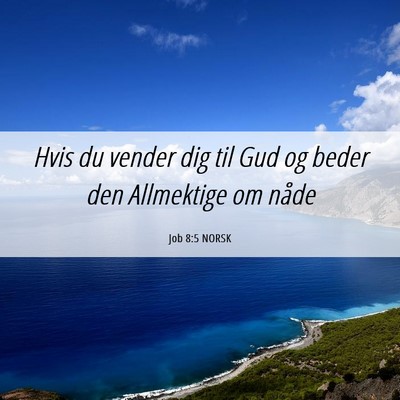 Picture 06 - Job 8:5 NORSK - Hvis du vender dig til Gud og beder den - Bible Verse Picture