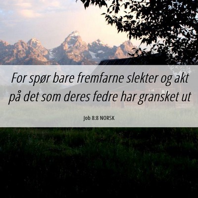 Picture 06 - Job 8:8 NORSK - For spør bare fremfarne slekter og akt på det - Bible Verse Picture