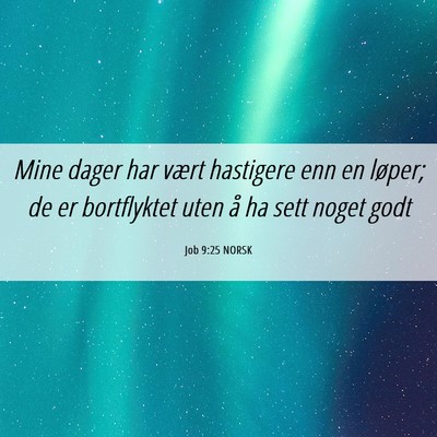 Picture 06 - Job 9:25 NORSK - Mine dager har vært hastigere enn en løper; de - Bible Verse Picture