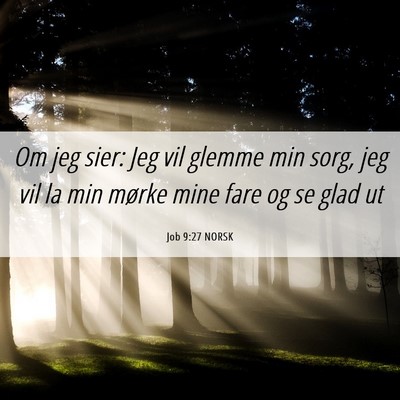 Picture 06 - Job 9:27 NORSK - Om jeg sier: Jeg vil glemme min sorg, jeg vil la - Bible Verse Picture