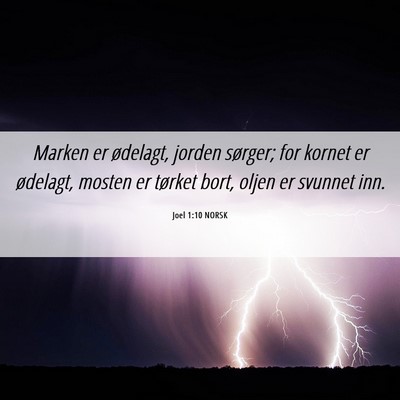 Picture 06 - Joel 1:10 NORSK - Marken er ødelagt, jorden sørger; for kornet er - Bible Verse Picture