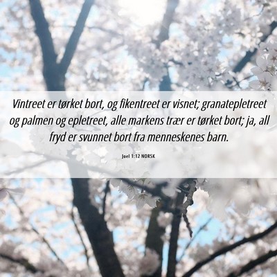 Picture 06 - Joel 1:12 NORSK - Vintreet er tørket bort, og fikentreet er - Bible Verse Picture