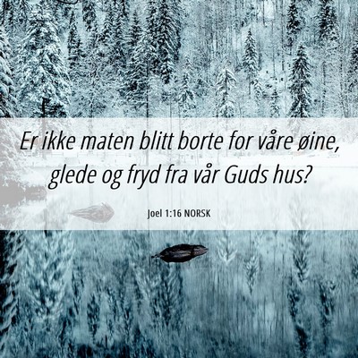 Picture 06 - Joel 1:16 NORSK - Er ikke maten blitt borte for våre øine, glede - Bible Verse Picture