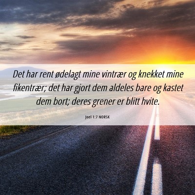 Picture 06 - Joel 1:7 NORSK - Det har rent ødelagt mine vintrær og knekket - Bible Verse Picture