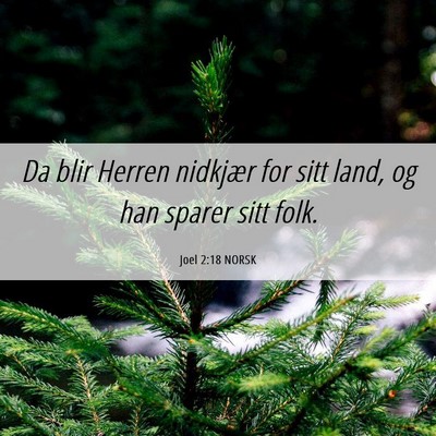 Picture 06 - Joel 2:18 NORSK - Da blir Herren nidkjær for sitt land, og han - Bible Verse Picture