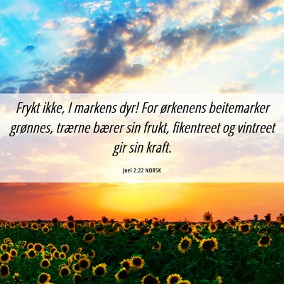 Picture 06 - Joel 2:22 NORSK - Frykt ikke, I markens dyr! For ørkenens - Bible Verse Picture