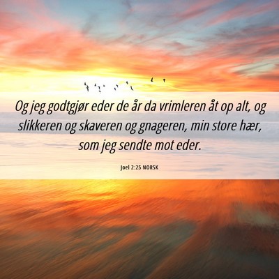 Picture 06 - Joel 2:25 NORSK - Og jeg godtgjør eder de år da vrimleren åt op - Bible Verse Picture