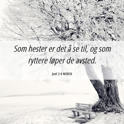 Picture 06 - Joel 2:4 NORSK - Som hester er det å se til, og som ryttere - Bible Verse Picture