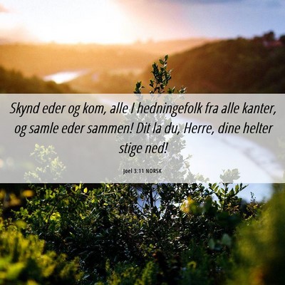 Picture 06 - Joel 3:11 NORSK - Skynd eder og kom, alle I hedningefolk fra alle - Bible Verse Picture
