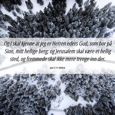 Picture 06 - Joel 3:17 NORSK - Og I skal kjenne at jeg er Herren eders Gud, som - Bible Verse Picture