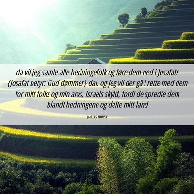 Picture 06 - Joel 3:2 NORSK - da vil jeg samle alle hedningefolk og føre dem - Bible Verse Picture