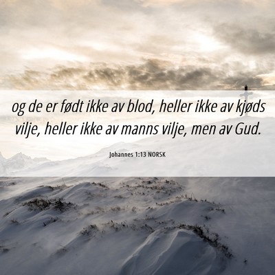 Picture 06 - Johannes 1:13 NORSK - og de er født ikke av blod, heller ikke av - Bible Verse Picture