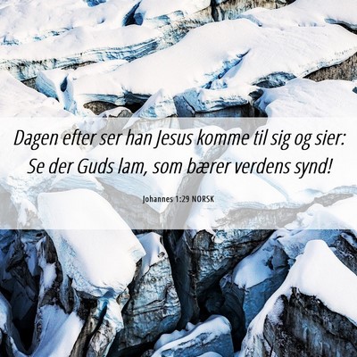 Picture 06 - Johannes 1:29 NORSK - Dagen efter ser han Jesus komme til sig og sier: - Bible Verse Picture