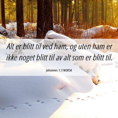 Picture 06 - Johannes 1:3 NORSK - Alt er blitt til ved ham, og uten ham er ikke - Bible Verse Picture