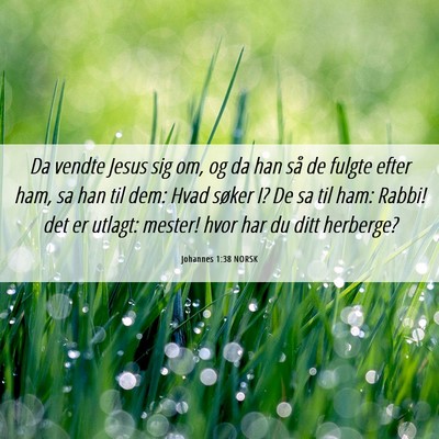 Picture 06 - Johannes 1:38 NORSK - Da vendte Jesus sig om, og da han så de fulgte - Bible Verse Picture