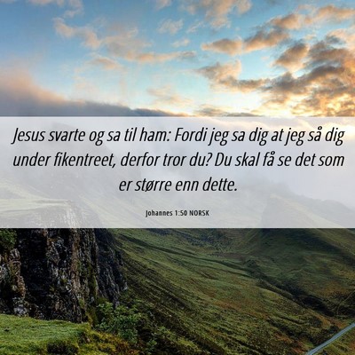Picture 06 - Johannes 1:50 NORSK - Jesus svarte og sa til ham: Fordi jeg sa dig at - Bible Verse Picture
