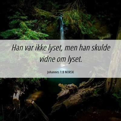 Picture 06 - Johannes 1:8 NORSK - Han var ikke lyset, men han skulde vidne om - Bible Verse Picture