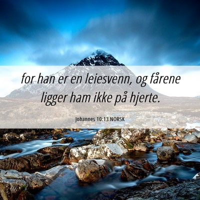 Picture 06 - Johannes 10:13 NORSK - for han er en leiesvenn, og fårene ligger ham - Bible Verse Picture