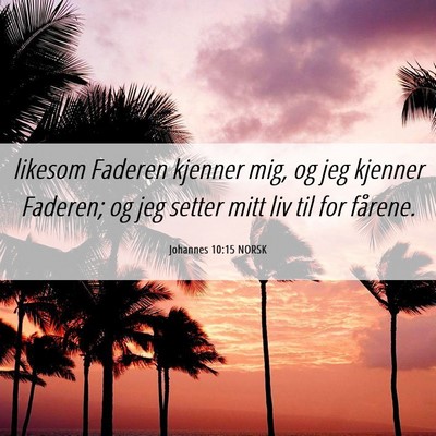 Picture 06 - Johannes 10:15 NORSK - likesom Faderen kjenner mig, og jeg kjenner - Bible Verse Picture