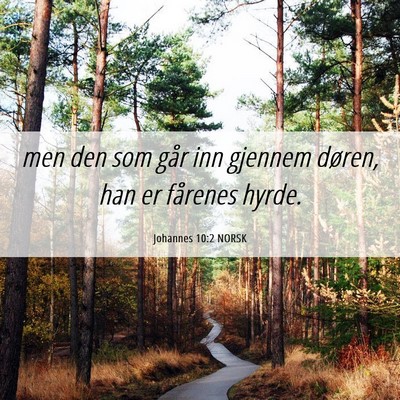 Picture 06 - Johannes 10:2 NORSK - men den som går inn gjennem døren, han er - Bible Verse Picture