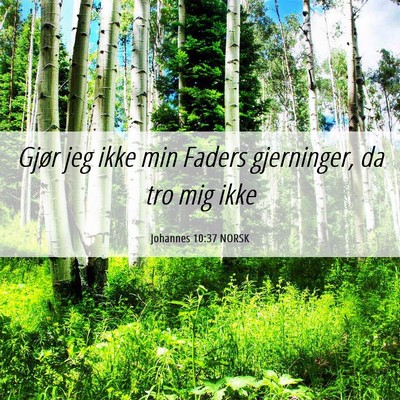 Picture 06 - Johannes 10:37 NORSK - Gjør jeg ikke min Faders gjerninger, da tro mig - Bible Verse Picture