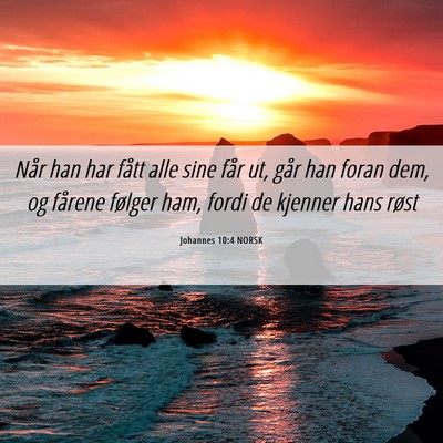 Picture 06 - Johannes 10:4 NORSK - Når han har fått alle sine får ut, går han - Bible Verse Picture