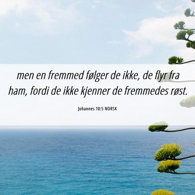 Picture 06 - Johannes 10:5 NORSK - men en fremmed følger de ikke, de flyr fra ham, - Bible Verse Picture