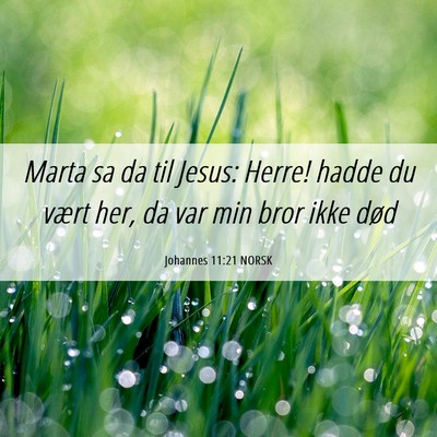 Picture 06 - Johannes 11:21 NORSK - Marta sa da til Jesus: Herre! hadde du vært her, - Bible Verse Picture