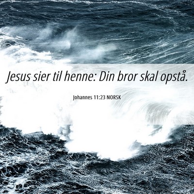 Picture 06 - Johannes 11:23 NORSK - Jesus sier til henne: Din bror skal - Bible Verse Picture