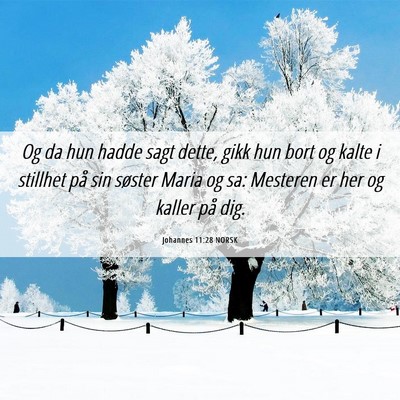 Picture 06 - Johannes 11:28 NORSK - Og da hun hadde sagt dette, gikk hun bort og - Bible Verse Picture