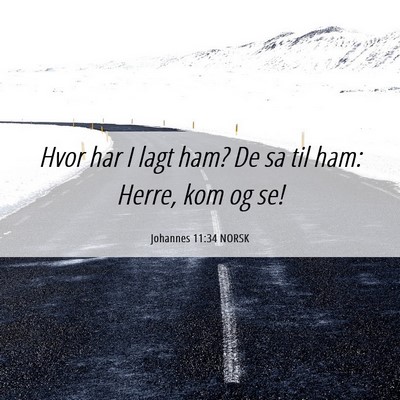 Picture 06 - Johannes 11:34 NORSK - Hvor har I lagt ham? De sa til ham: Herre, kom og - Bible Verse Picture