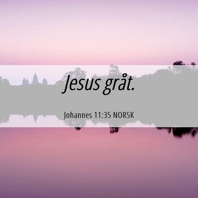 Picture 06 - Johannes 11:35 NORSK - Jesus - Bible Verse Picture