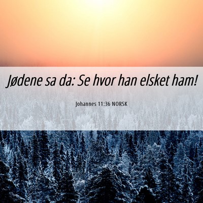 Picture 06 - Johannes 11:36 NORSK - Jødene sa da: Se hvor han elsket - Bible Verse Picture