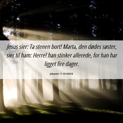 Picture 06 - Johannes 11:39 NORSK - Jesus sier: Ta stenen bort! Marta, den dødes - Bible Verse Picture