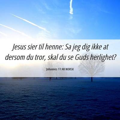 Picture 06 - Johannes 11:40 NORSK - Jesus sier til henne: Sa jeg dig ikke at dersom - Bible Verse Picture