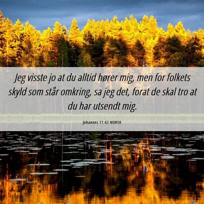 Picture 06 - Johannes 11:42 NORSK - Jeg visste jo at du alltid hører mig, men for - Bible Verse Picture