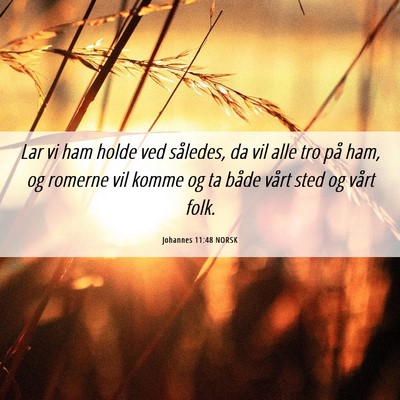 Picture 06 - Johannes 11:48 NORSK - Lar vi ham holde ved således, da vil alle tro - Bible Verse Picture