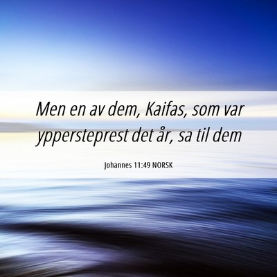 Picture 06 - Johannes 11:49 NORSK - Men en av dem, Kaifas, som var yppersteprest det - Bible Verse Picture